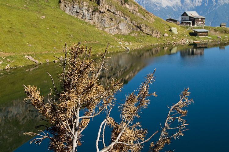 Wildseelodersee (Pillerseetal - Wanderung)