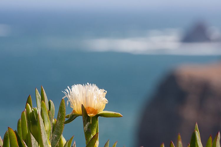 Cabo de So Vicente (Portugal - Tag 11)