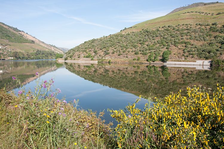 Douro-Tal (Portugal - Tag 4)
