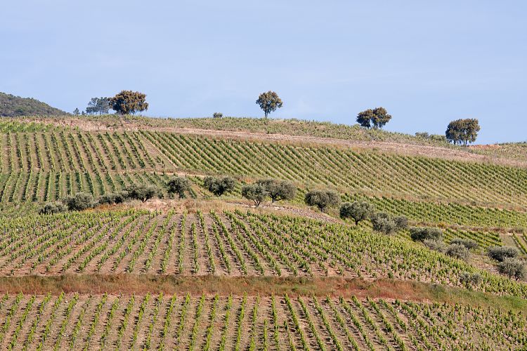 Douro-Tal (Portugal - Tag 4)