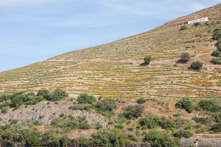 Douro-Tal (Portugal - Tag 4)