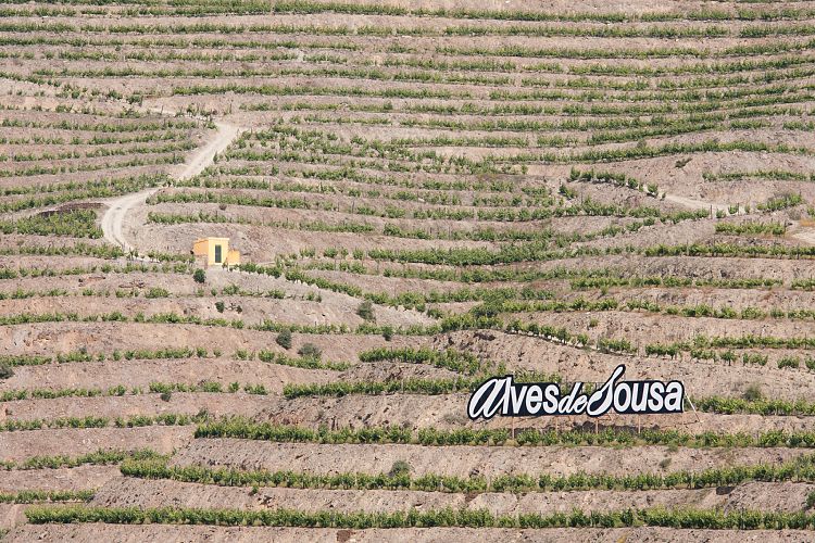 Douro-Tal (Portugal - Tag 4)