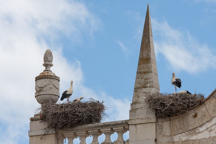 Faro (Portugal - Tag 10)
