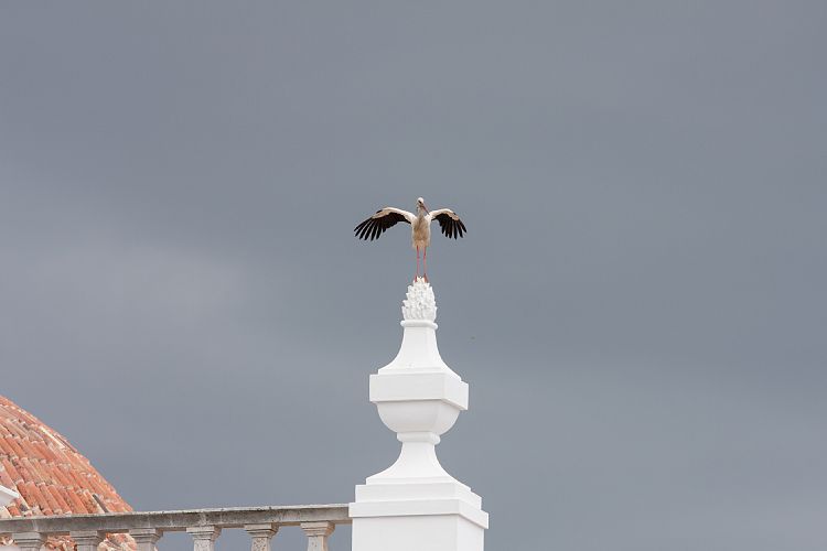 Faro (Portugal - Tag 10)
