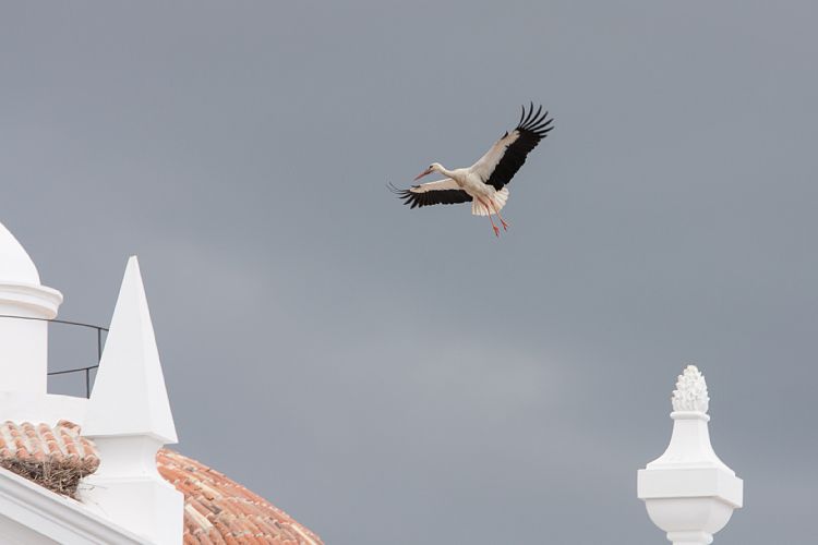 Faro (Portugal - Tag 10)