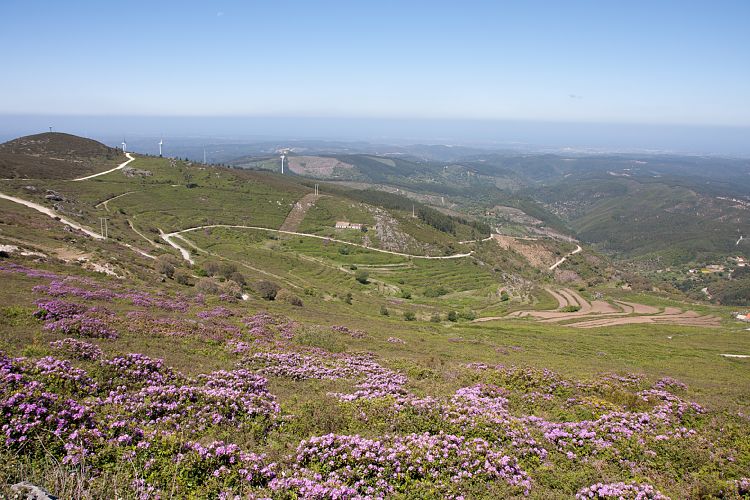 Fia (Portugal - Tag 12)