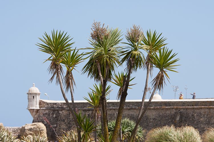 Lagos (Portugal - Tag 11)
