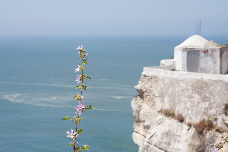 Nazar (Portugal - Tag 6)