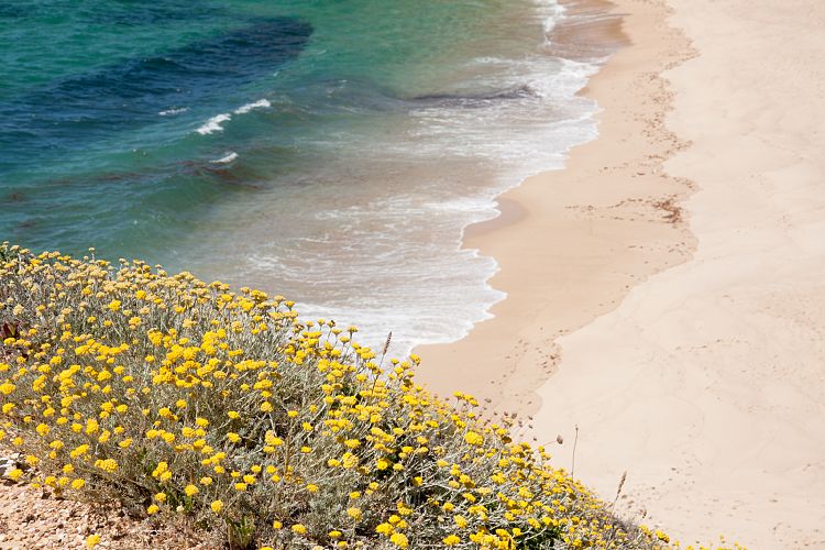 Porto Covo (Portugal - Tag 9)