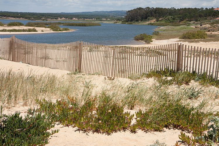 Praia de Melides (Portugal - Tag 9)