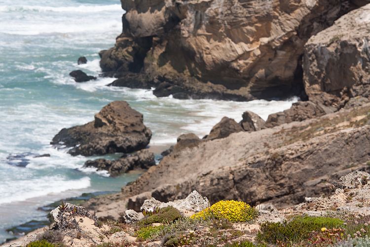 Praia de Monte Clrigo (Portugal - Tag 12)
