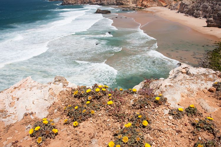Sagres (Portugal - Tag 11)