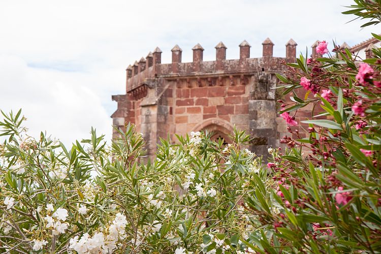 Silves (Portugal - Tag 10)