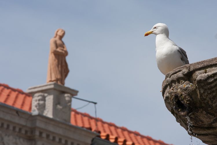 Viana do Castelo (Portugal - Tag 1)