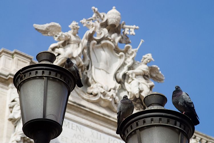 Trevi-Brunnen (Rom - 13. Mrz)