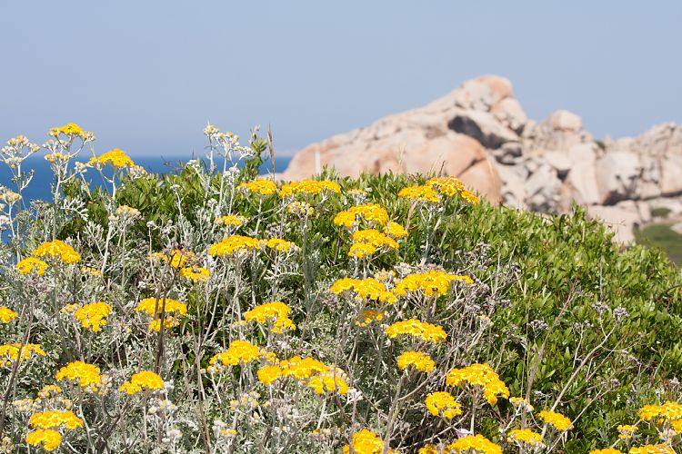 Capo Testa (Sardinien - Nordwesten)