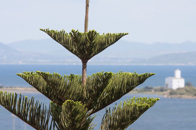 Sant'Antioco (Sardinien - Sdkste 2)