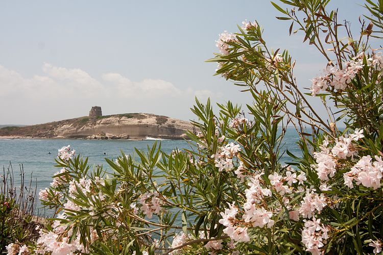 S'Archittu (Sardinien - Westkste)