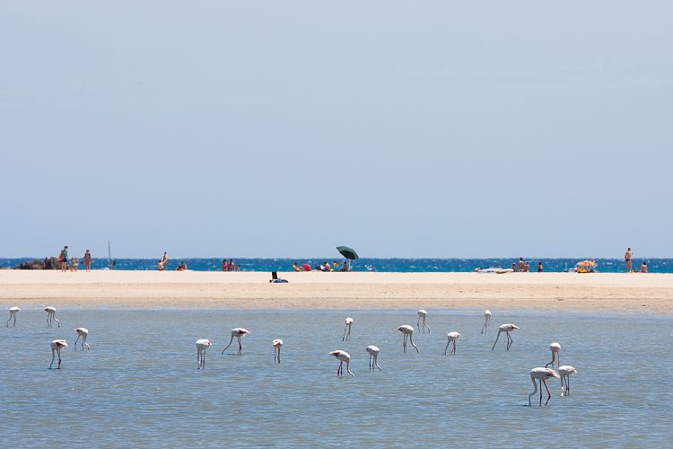 Spiaggia di Su Gideu (Sardinien - Sdkste)