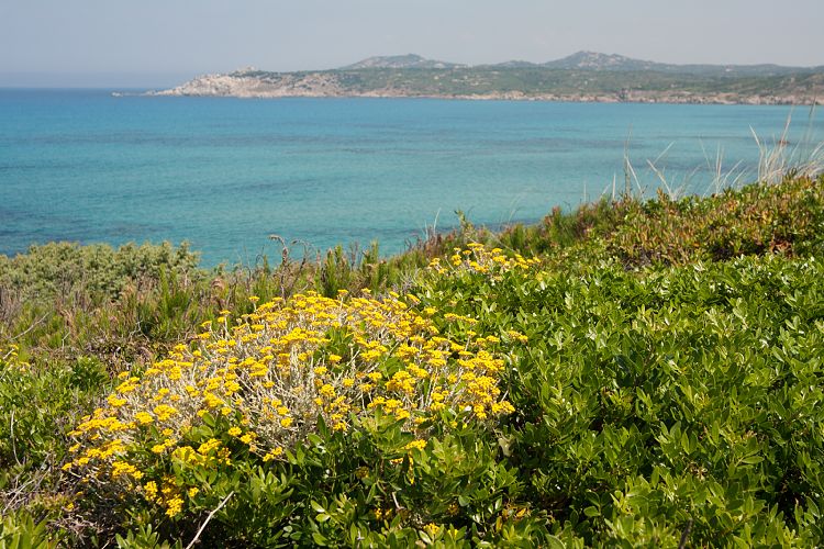 Spiaggia Rena di Matteu (Sardinien - Norden & Alghero)