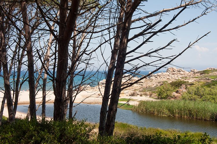 Strand bei Aglientu (Sardinien - Norden & Alghero)