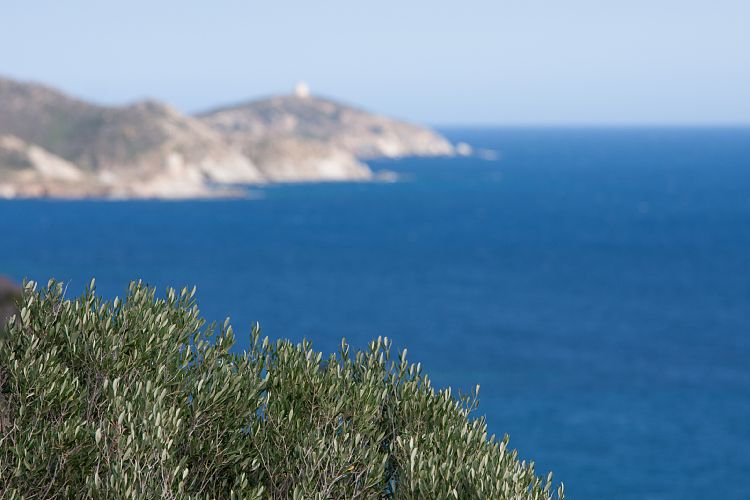 Sdkste (Sardinien - Sdkste 2)