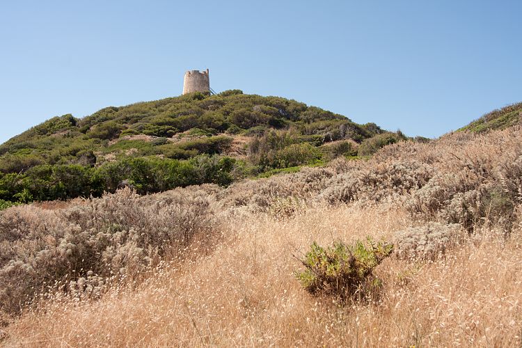 Torre Chia (Sardinien - Sdkste)