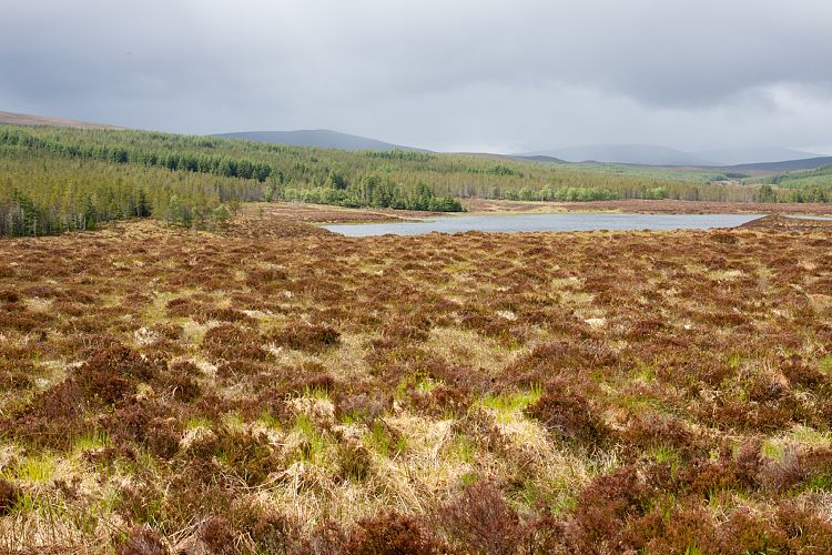 A837 (Schottland - Laide - Inverness)