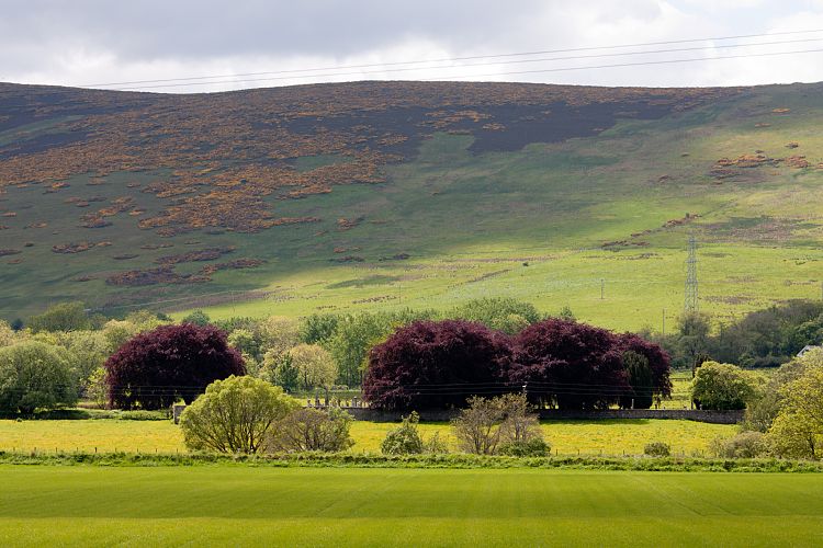 A96 (Schottland - Inverness - Kemnay)