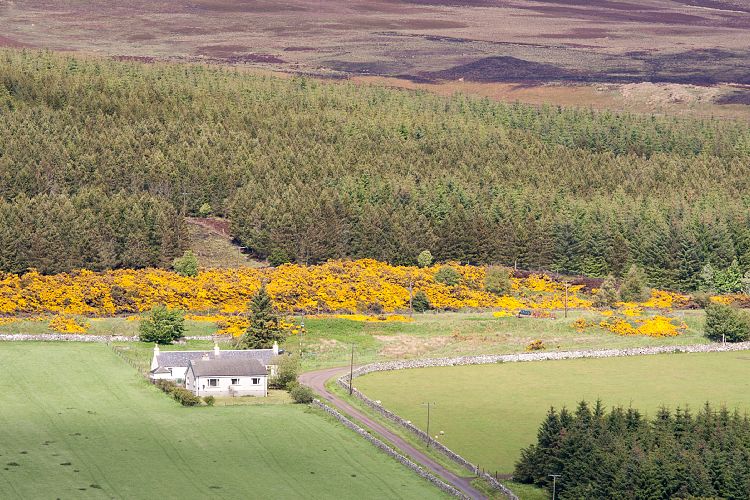 A9 (Schottland - Die Nordostkste)