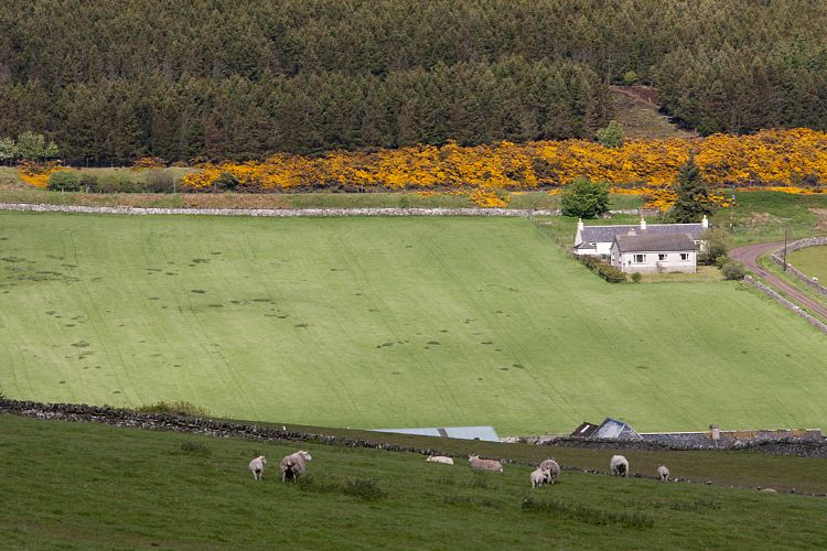 A9 (Schottland - Die Nordostkste)