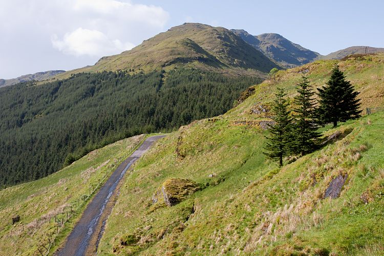 Argyl Forest Park (Schottland - Loch Lomond - Loch Ness)