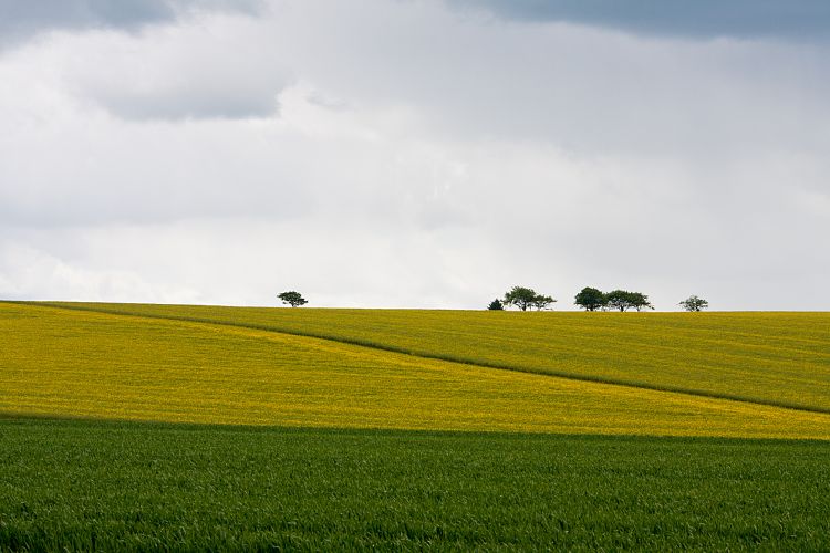 B9024 (Schottland - Inverness - Kemnay)