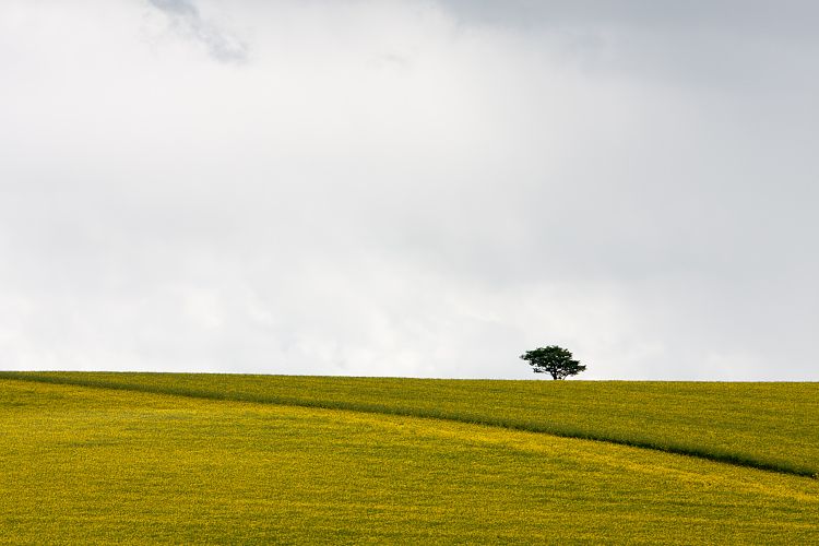 B9024 (Schottland - Inverness - Kemnay)