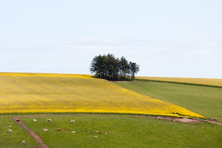 B992 (Schottland - Inverness - Kemnay)