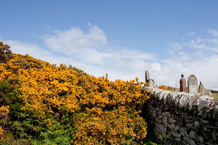 Berriedale (Schottland - Die Nordostkste)