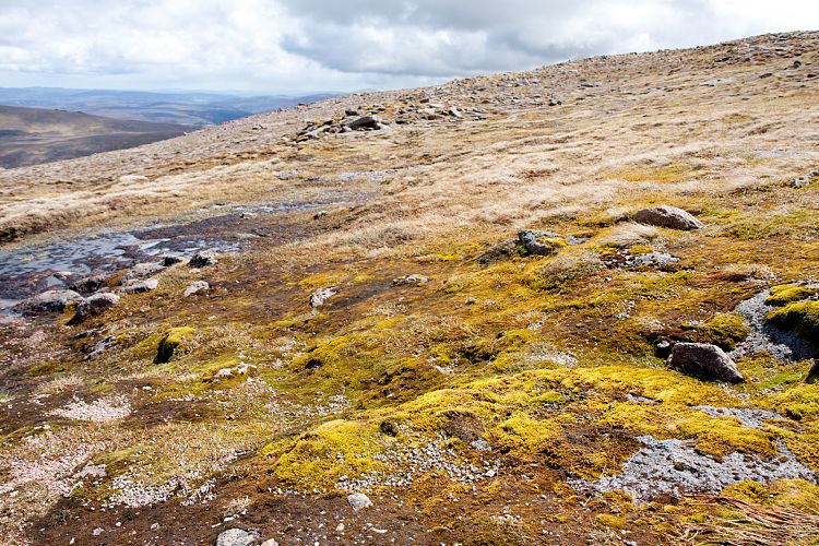 Cairn Gorm Mountain (Schottland - Cairngorm Mountains)