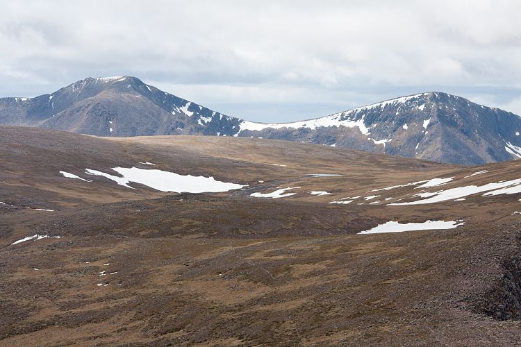 Cairn Gorm Mountain (Schottland - Cairngorm Mountains)