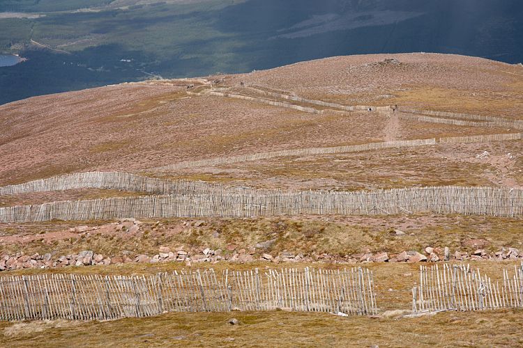Cairn Gorm Mountain (Schottland - Cairngorm Mountains)