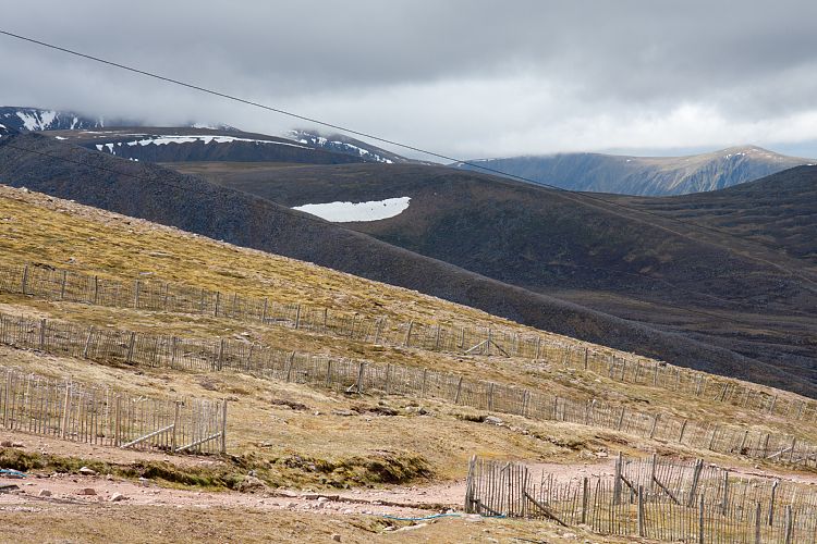 Cairn Gorm Mountain (Schottland - Cairngorm Mountains)