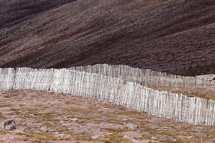 Cairn Gorm Mountain (Schottland - Cairngorm Mountains)