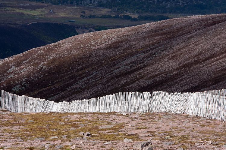 Cairn Gorm Mountain (Schottland - Cairngorm Mountains)