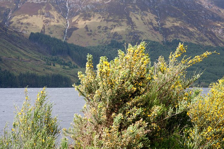 Caledonian Canal (Schottland - Loch Lomond - Loch Ness)