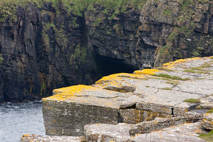 Castle of Old Wick (Schottland - Die Nordostkste)