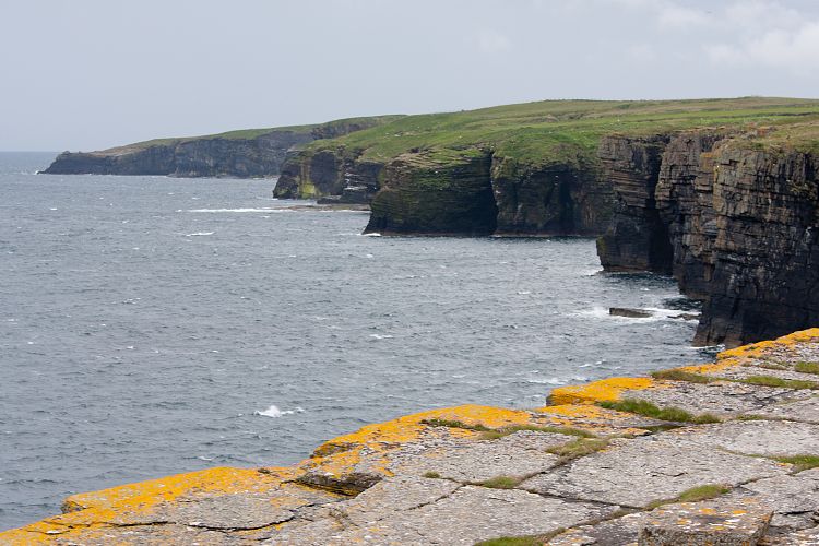 Castle of Old Wick (Schottland - Die Nordostkste)