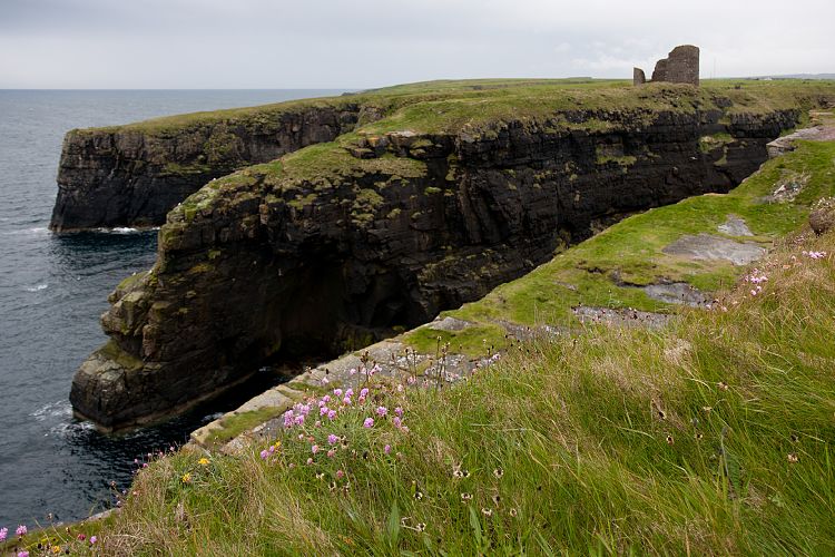 Castle of Old Wick (Schottland - Die Nordostkste)