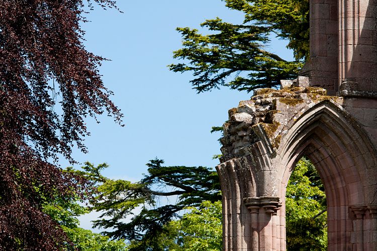 Dryburgh Abbey (Schottland - Border Abbeys)