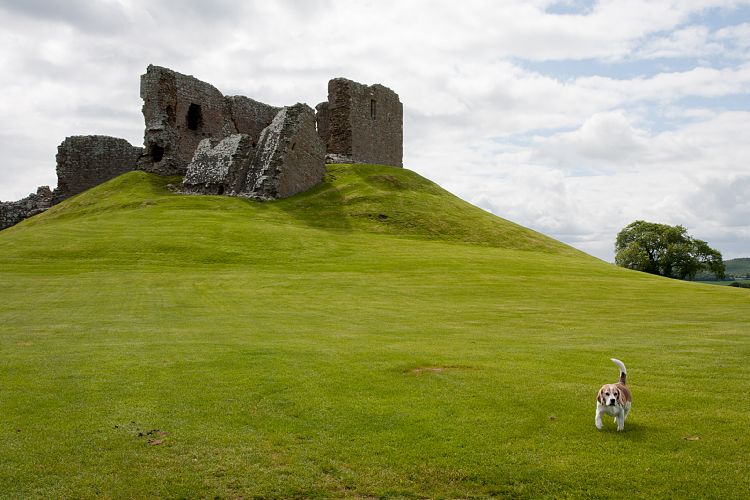 Duffus Castle (Schottland - Inverness - Kemnay)