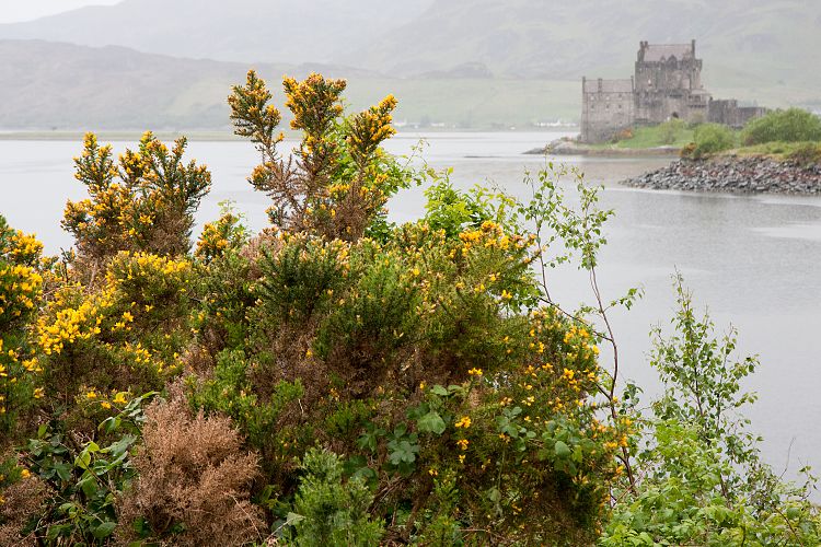 Eilean Donan Castle (Schottland - Loch Ness - Isle of Skye)