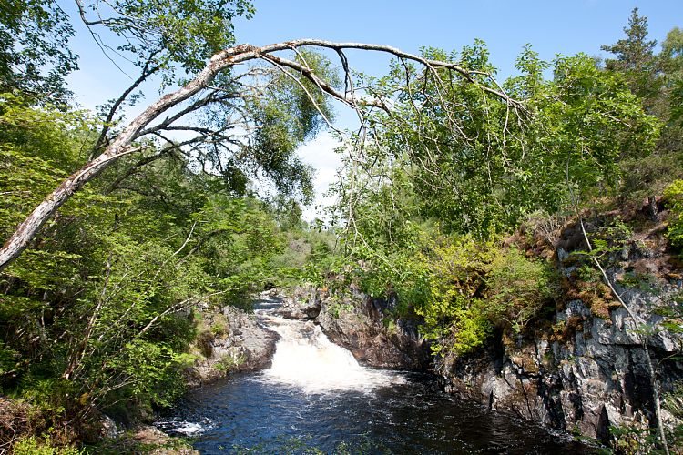 Falls of Shin (Schottland - Laide - Inverness)